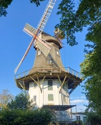 Alle Klassen 3/4 besuchen die Mühle in Oberneuland